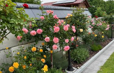 Theresiengarten - Foto 5