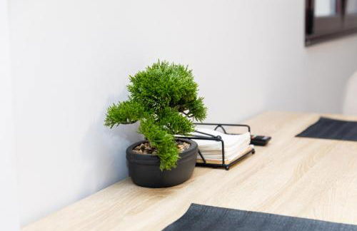 Apartamentos Muralla de Lugo - Casco Histórico - Foto 74