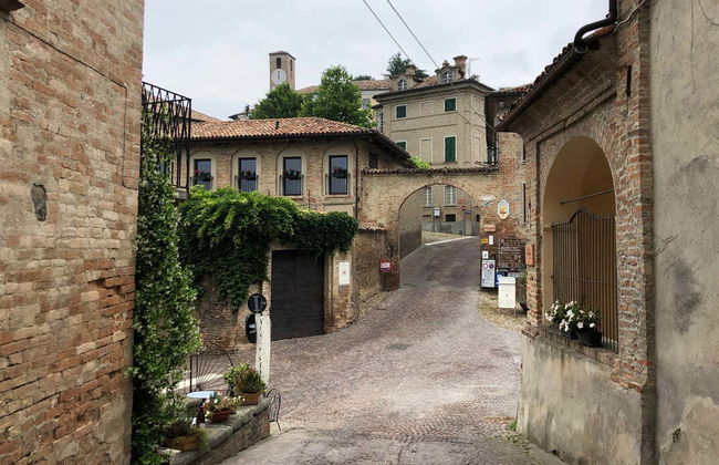 Visite guidée dans Neive - Photo 3