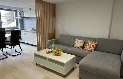 Moderne FerienWohnung NeuBau Merzig - Foto 58