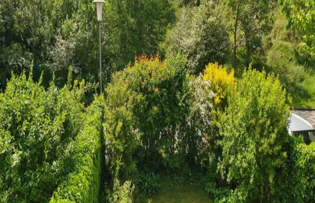 Borkum Ideal 71 A Comfortable Holiday Residence - Foto 22