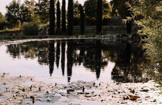 Domaine de la barbeirasse - Foto 15