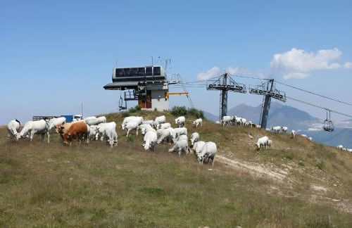 Studio 4 personnes au pied des piste plateau de Bonascre - Ax 3 domaines Eté Hiver - Foto 32