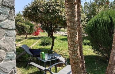 SANTA-LUCIA - Foto 10