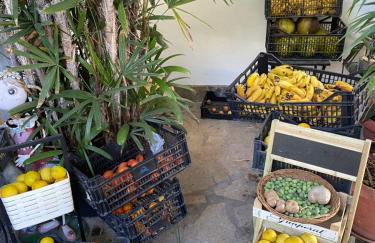 Taburiente - Foto 19