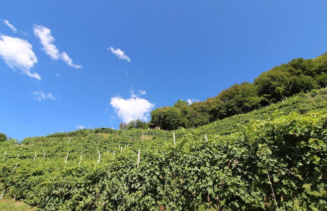 Belvilla by OYO Riva dei Tor - Foto 29