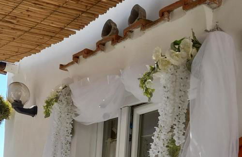 La Necussella - Foto 32