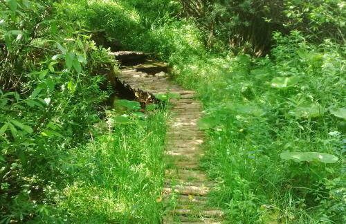 Plitvice Lakes Holiday Lodge - Foto 23