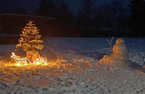 PRZYSTANEK nowEKOprzywno - Żółty Domek Pod Kasztanem - Foto 2