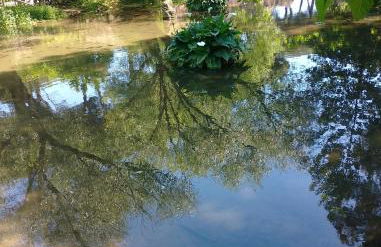 CASA D ARTE MARY 3 camere da letto 2 bagni salotto - Foto 24