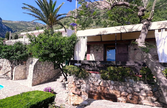 Melograno di Patrizia - Foto 13