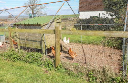 Mountain View Lodge - Foto 26