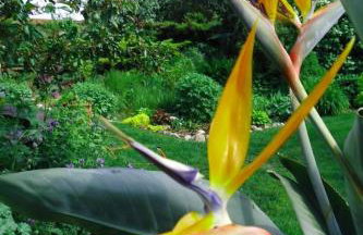 Apartment in ruhiger Lage am Waldrand by Interhome - Photo 18