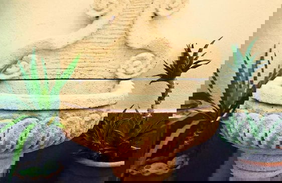 Antica Dimora Marinelli Cav Restaurant - Foto 13