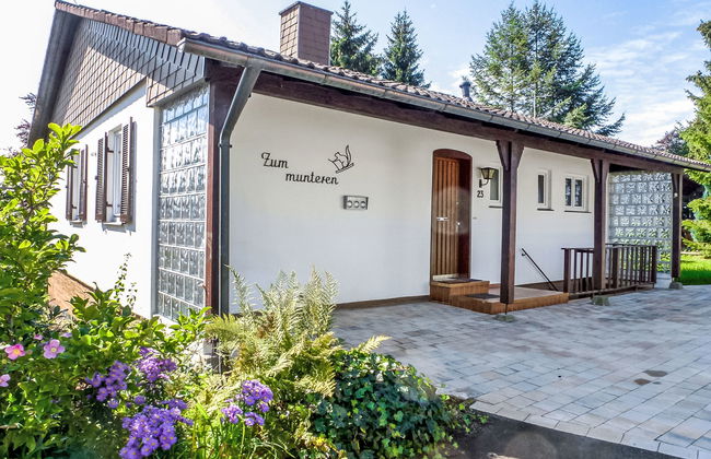 Zum munteren Eichhörnchen - Foto 1