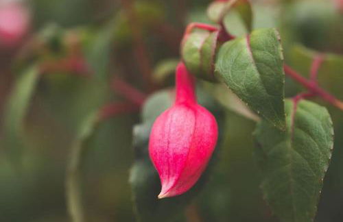 #06 Riverside Retreat Near the NEC fast WiFi - Foto 21