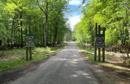 Forest lodge - Foto 43