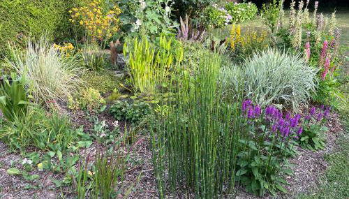 Studio GîTE COSY sur Jardin - Foto 3