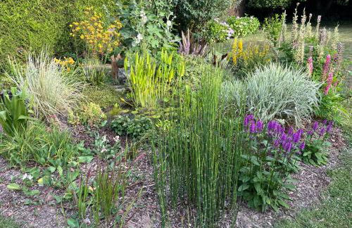 Studio GîTE COSY sur Jardin - Foto 3