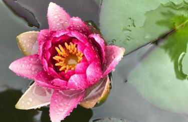 Haciendas del Valle - Casa San Miguel - Foto 18