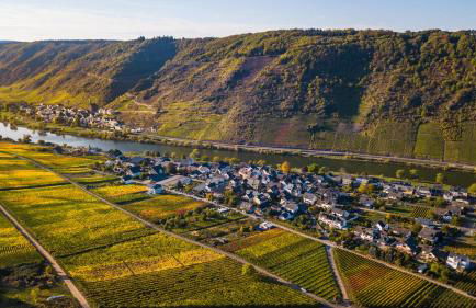 Ferienweingut Gansen / Hochgenuss 1 - Foto 13