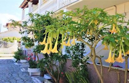 Eleni Apartments Sant George Beach - Foto 24