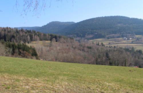 appartement mitoyen dans chalet - Foto 21