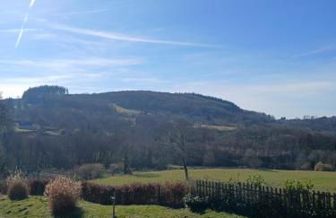 Gite de hermitage - Foto 9