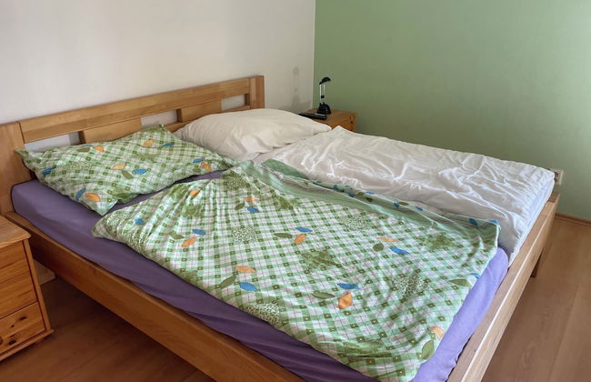 Charming 3-bed Villa in Lipno nad Vltavou - Photo 6