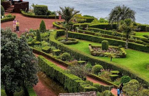 Norverde - Açores - Photo 30