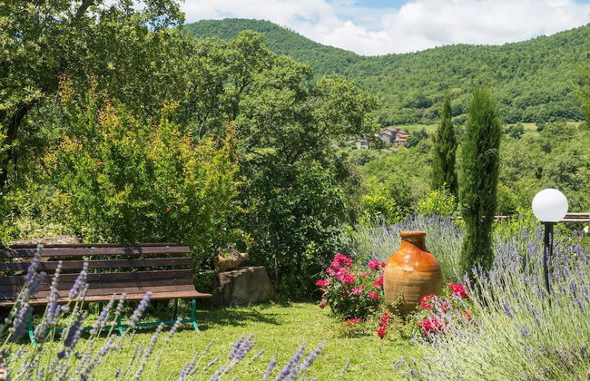 Villa Mille Desideri - Photo 9