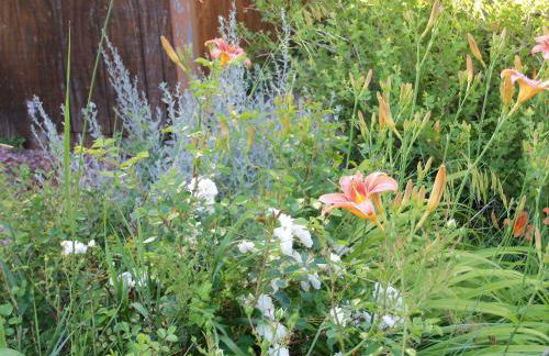 River Falls Lodging -Black Hills, South Dakota - Foto 15