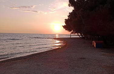 Roris House - Foto 43