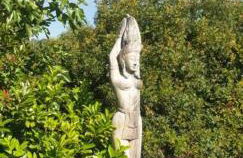 Bastidon des lavandes entre Verdon et Méditerranée - Foto 11