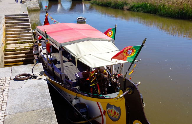 Casa Margarida Azul - Foto 9