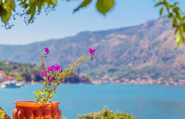 Villa Donkovic - Foto 27