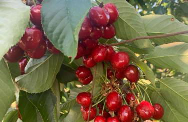 Apartamentos Turísticos Huerto El Horno - Foto 61