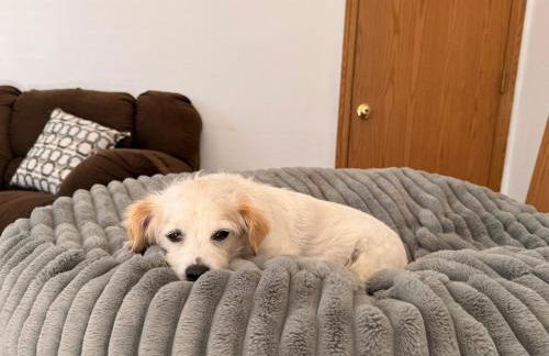 Huckleberry's Hideaway - Foto 21