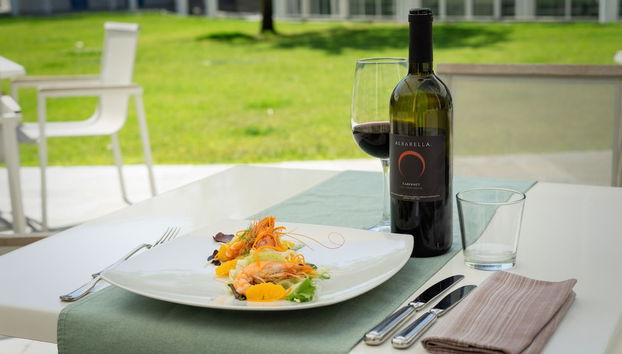 Albarella V3 4 - Foto 4, Balcón