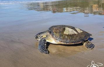 Casa Praia de Itapiruba SC - Foto 26
