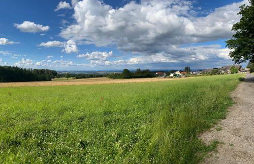 eichHAUS Eifel - Foto 24