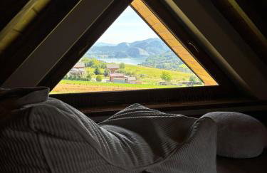 Wolniej Apartamenty bezpośrednio przy ścieżce rowerowej Velo Czorsztyn - Foto 49