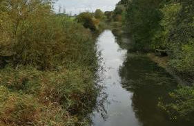 Landhof Osterdeich - Foto 36