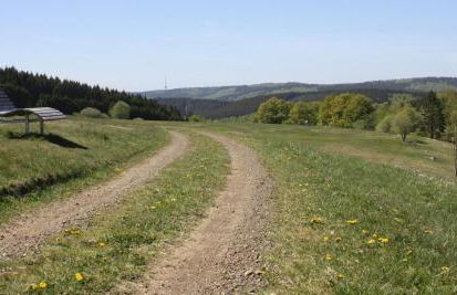 Ferienwohnung Zum Heideblick - Photo 30
