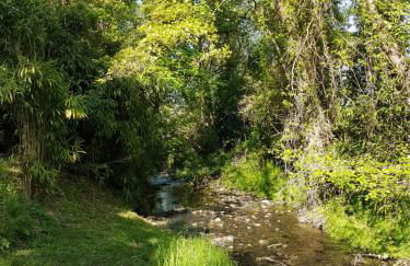 LE SECRET DU CHEMIN confort, détente et loisirs - Foto 22