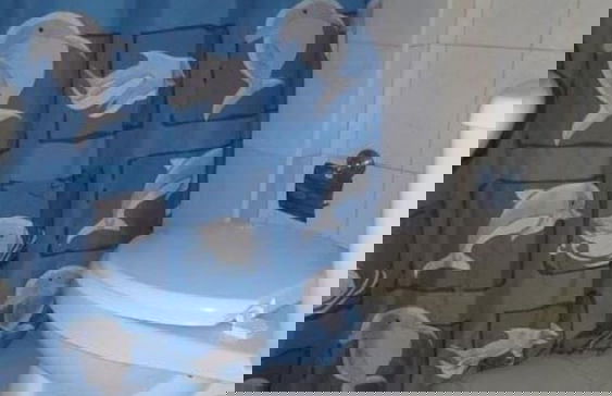 Casa Varsovia 2 Rooms - Oceanview Modern Apartment - Foto 34