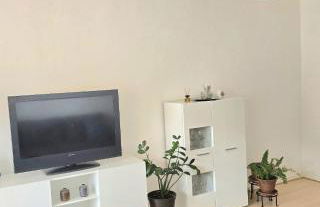 Schönes Apartment in Walschleben - Foto 4