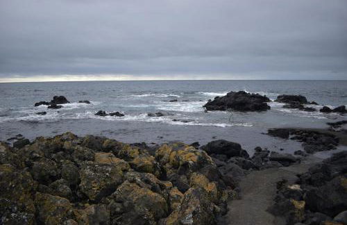 Casa Cruzeiro AL - by the sea OCEANTUR - Photo 31