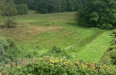 mitten im dorf - Foto 8