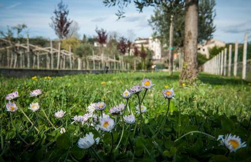 Agriturismo Borgo di Calmasino - Foto 38